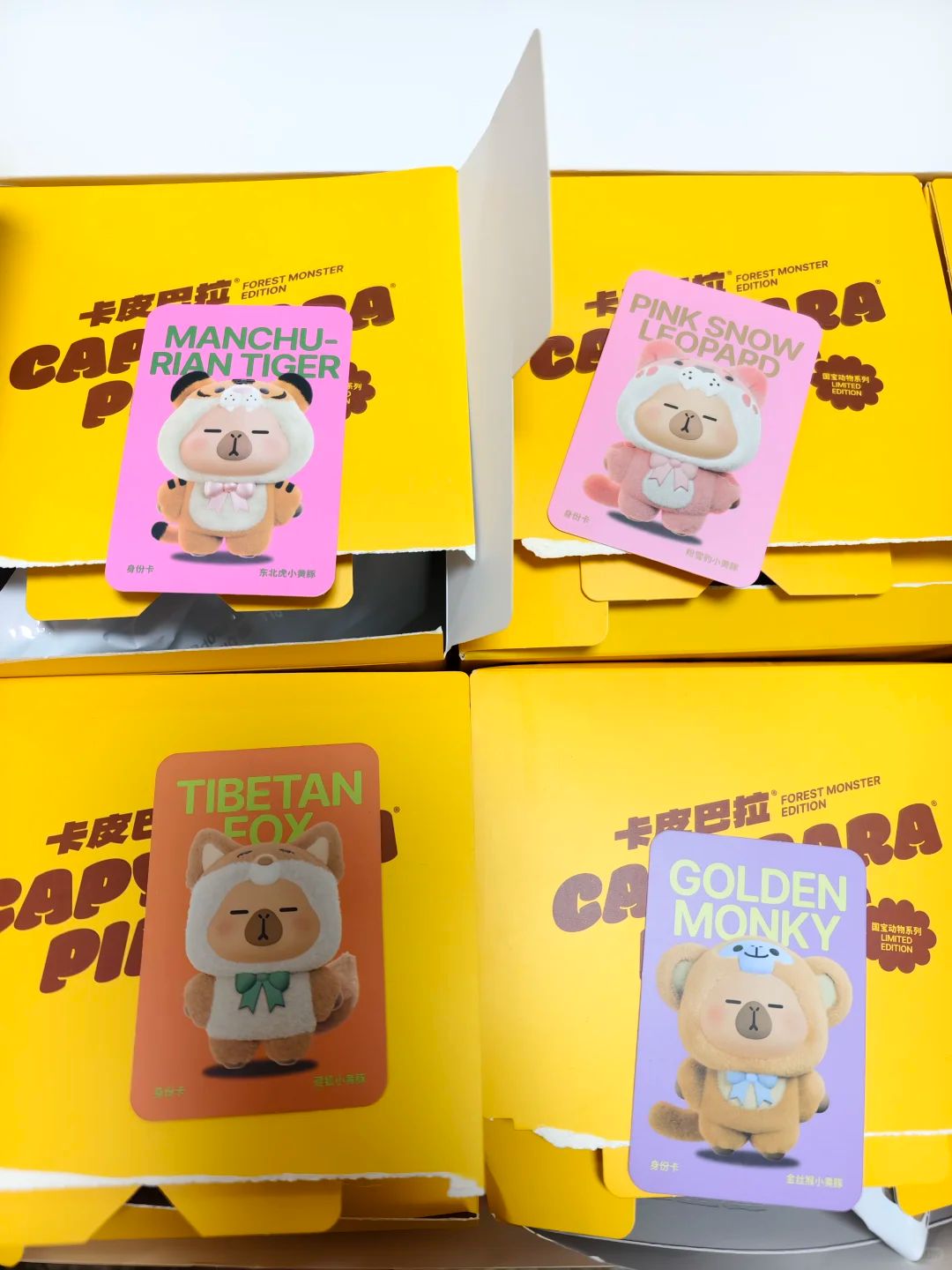 Capybara Pimoo Forest Monster Edition Blind Box