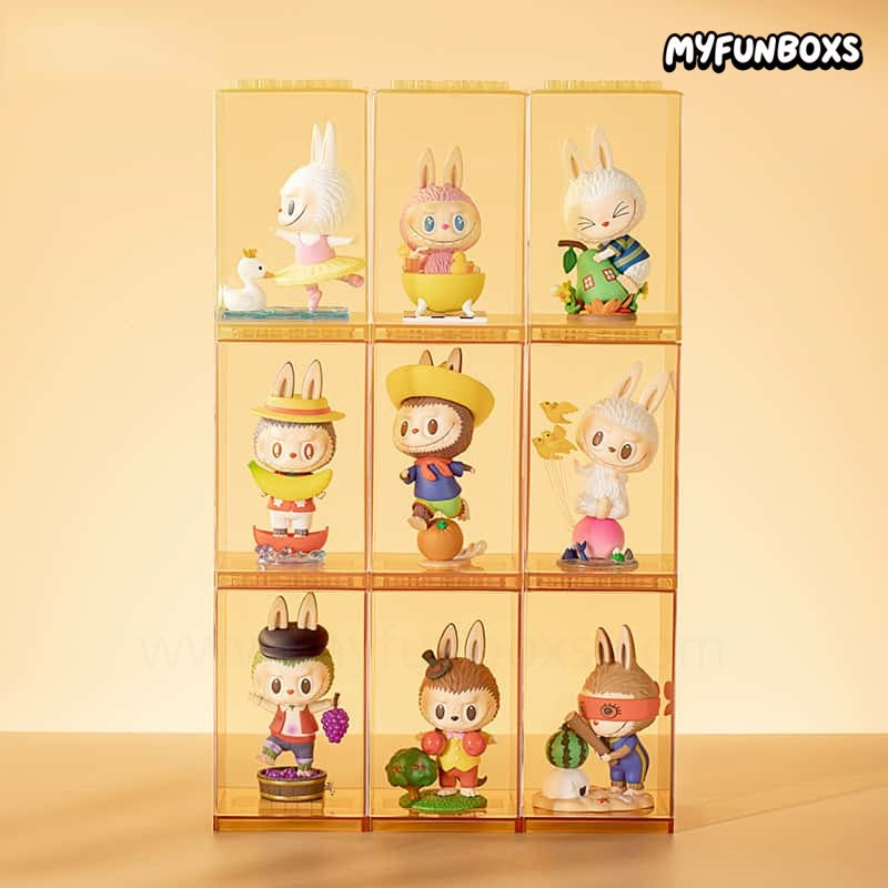 POP MART POP Display Box