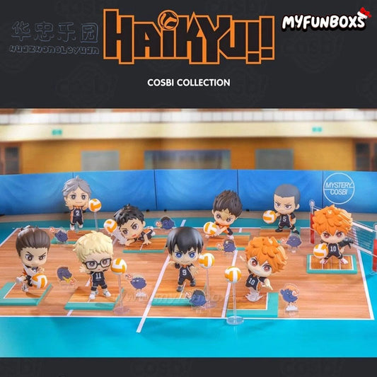 Hot Toys Haikyuu Series Blind Box