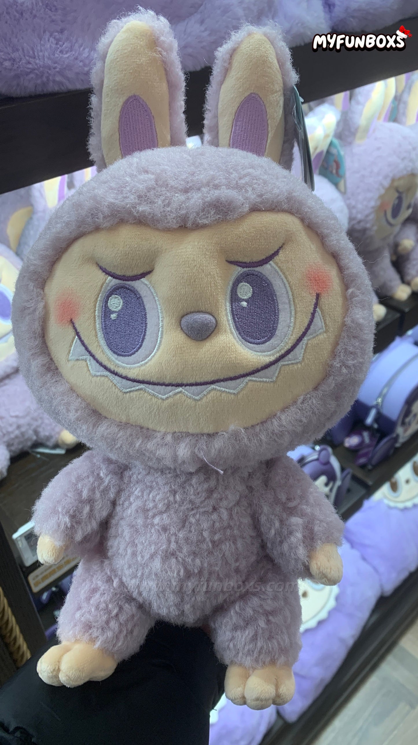 POP LAND (POP MART Land) Exclusive – LABUBU Medium Plush Doll