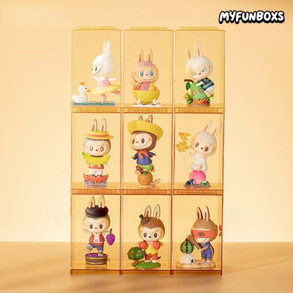 POP MART POP Display Box