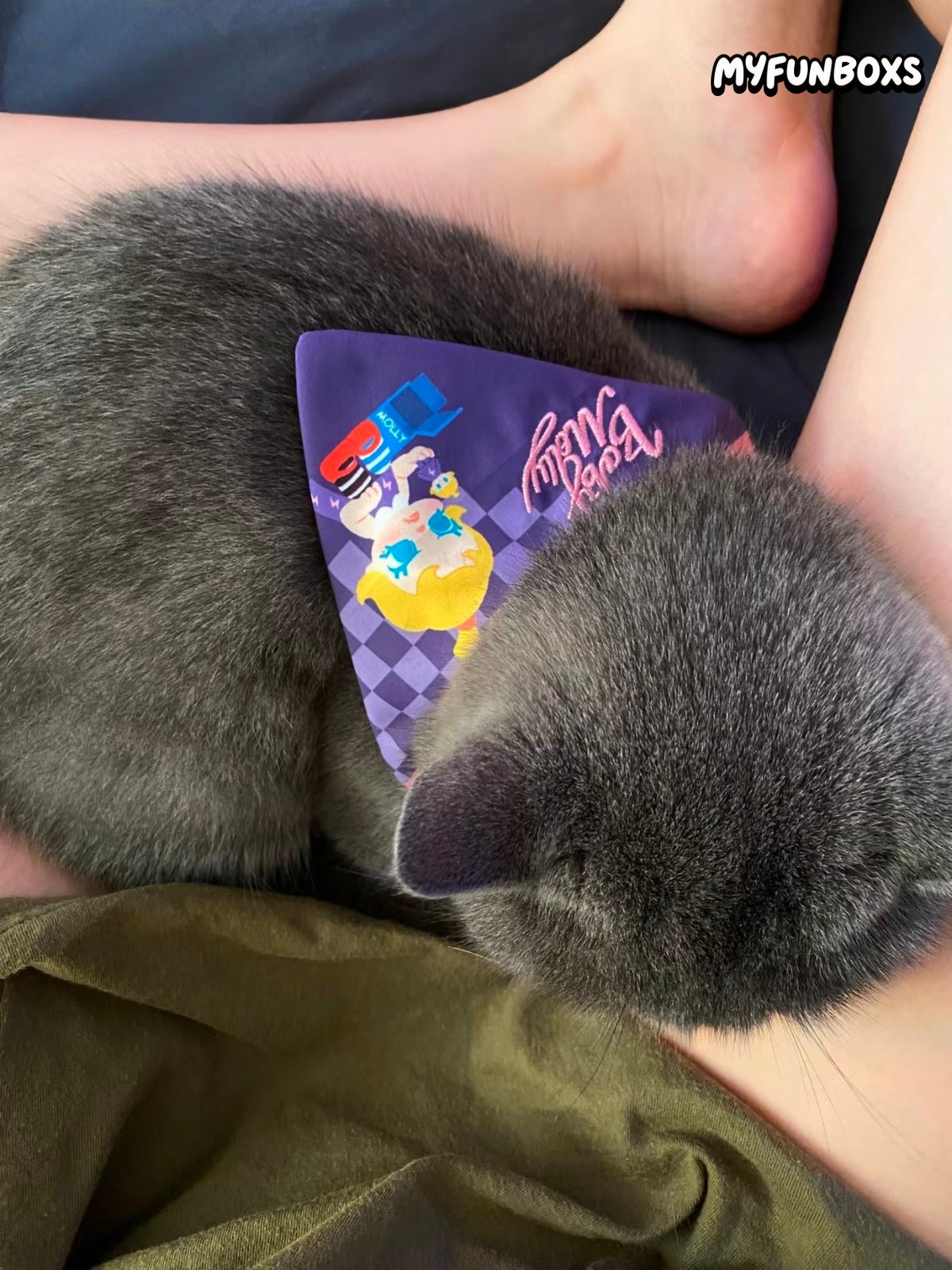 POP MART BABY MOLLY Pet Bandana – Cute Cat & Dog Scarf