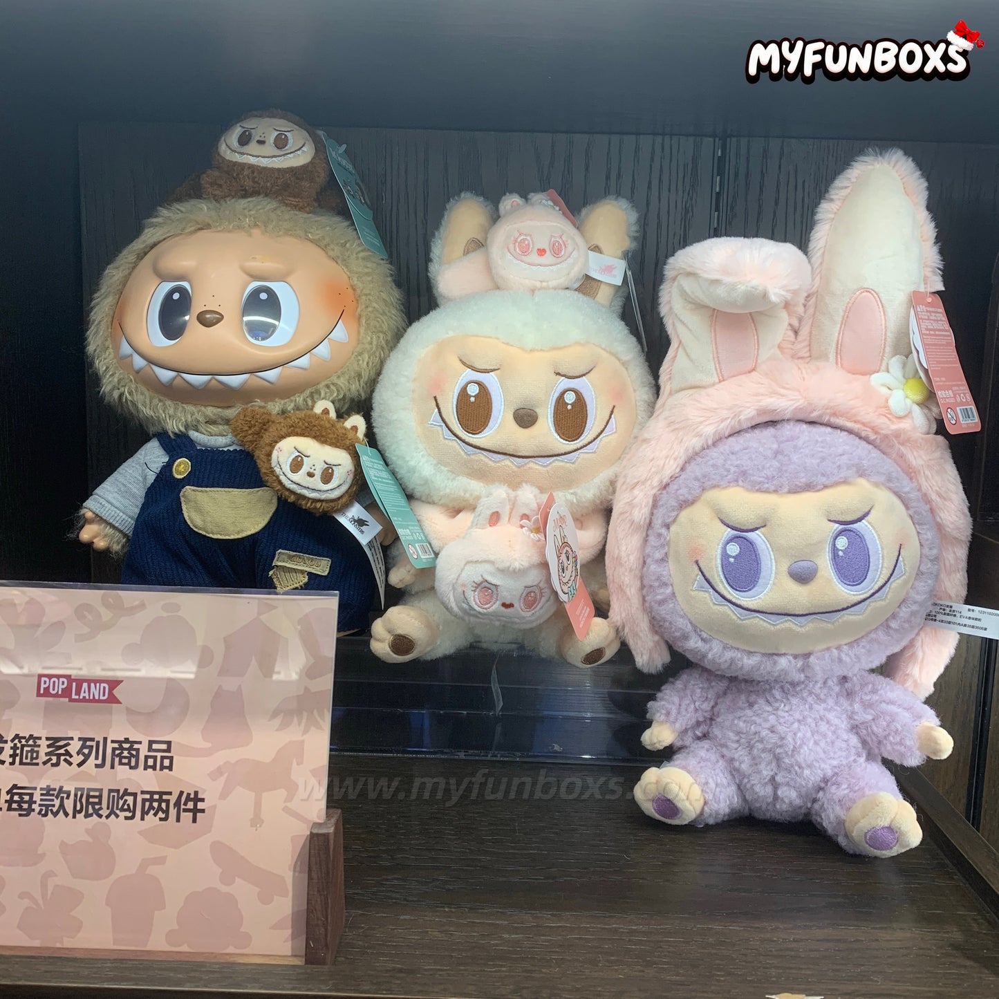 POP LAND (POP MART Land) Exclusive – LABUBU Medium Plush Doll