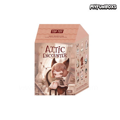 Dual Bear Attic Encounter Series Figures Blind Box