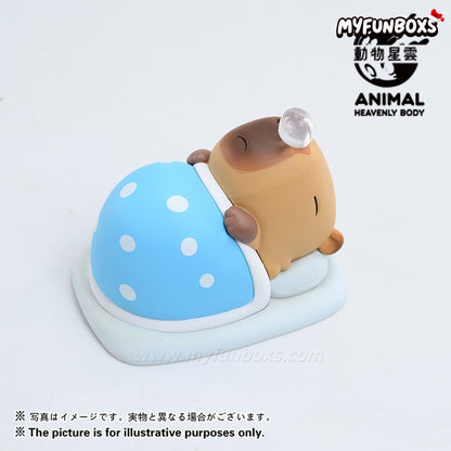 Capybara Series 2 Blind Box
