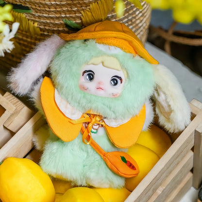 Nommi V5 Puppy Diary Series Plush Dolls, Blind Box